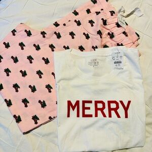 NWT J. Crew Factory pajama set Large